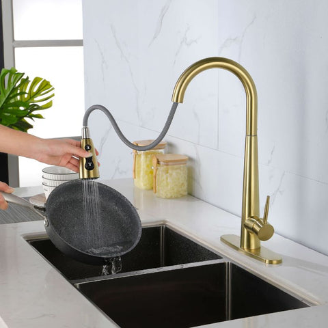 One of our Gallery of kitchen faucets