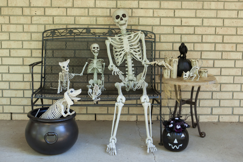 Outdoor Skeleton Halloween Decor