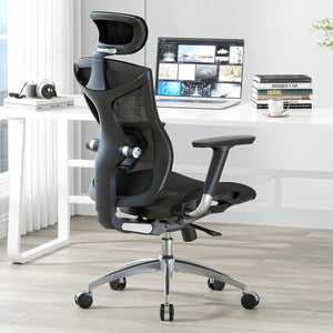 Sihoo V1  Highly Adjustable Executive Chair Combined with Ergonomics and Innovation - Official US Sihoo Store