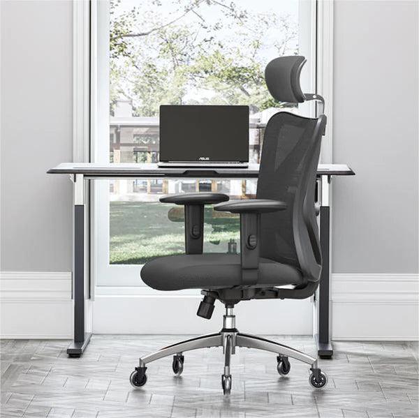 Sihoo M102C chaise de bureau ergonomique avec Support lombaire de nive