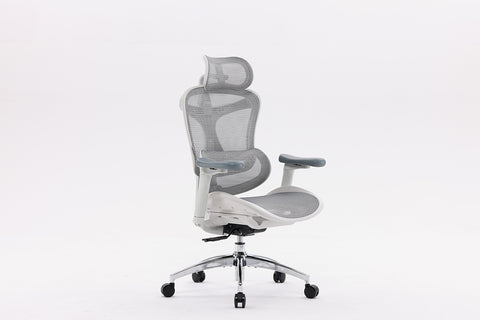 SIHOO Doro C300 Ergonomic Office Chair