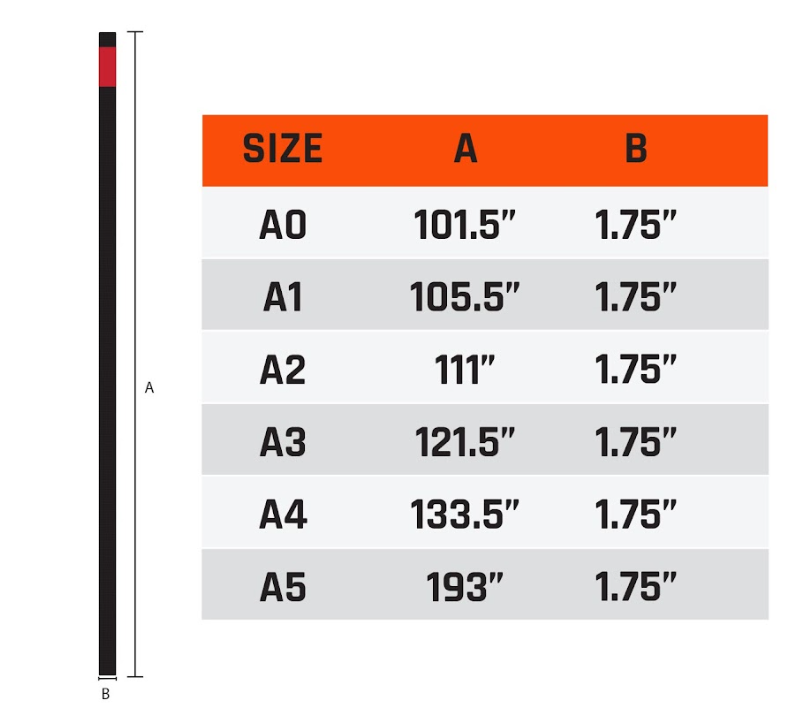 Kingz Absolute Premium Belt Size Guide