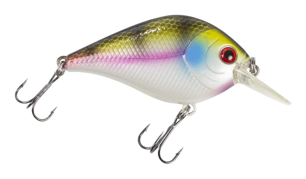 6 deep diving crankbait fishing lures for casting and trolling - sporting  goods - by owner - sale - craigslist