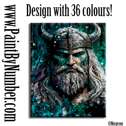 Odin the Viking God Prepares for War