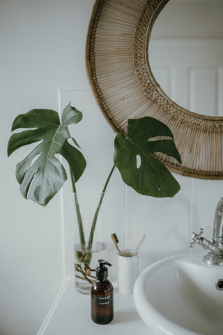 lavabo met spiegel en monstera