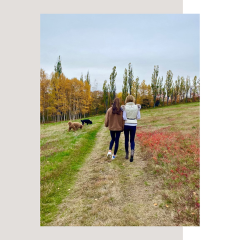 Promenade dans les bois