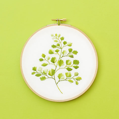 6 inch embroidery hoop with a maidenhair fern stitched in variegated green thread by Lolli and Grace