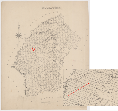 the Hundred of Moorooroo from 1875 with Vinya Vella highlighted. Inset: arrow indicates section 1 and points to Vinya Vella in section 57.