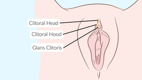 Clitoral-Orgasm-External-View