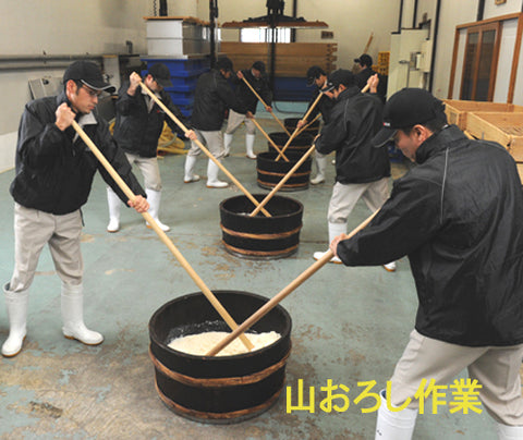 泉橋酒造　生酛の山卸、酛すり作業