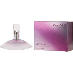 euphoria perfume blossom