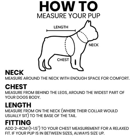 Sizing Guide