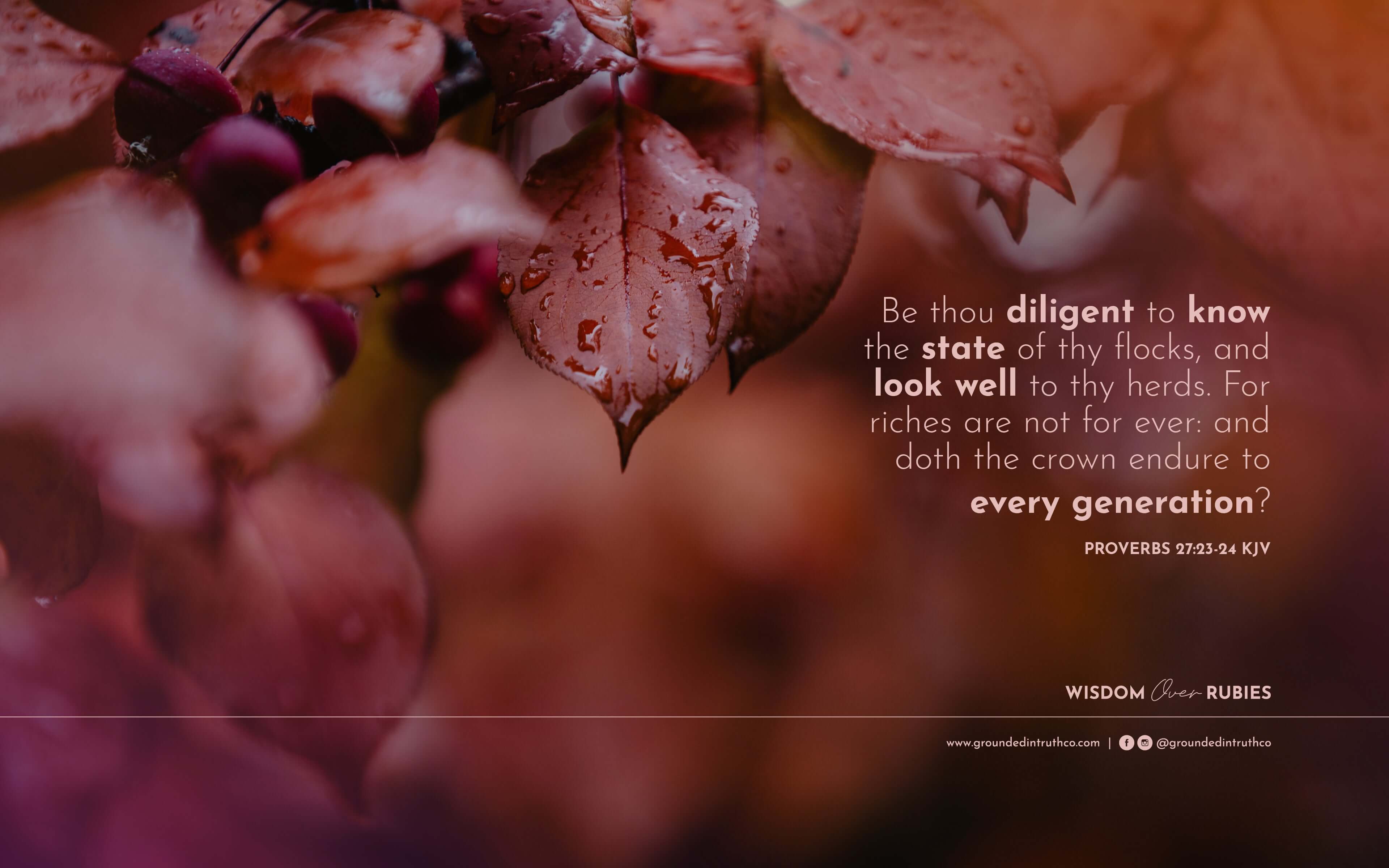 desktop wallpaper proverbs wisdom over rubies bible verse