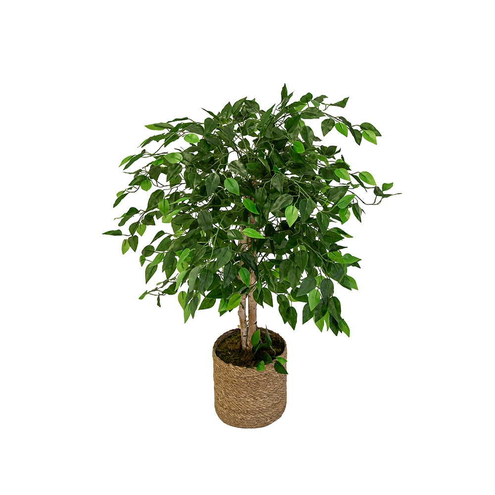 Ficus Arbre Artificiel - 100 cm, 150 cm & 180 cm – Toplico