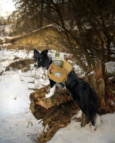 Then We Roam - Winter - Hiking - QEVA