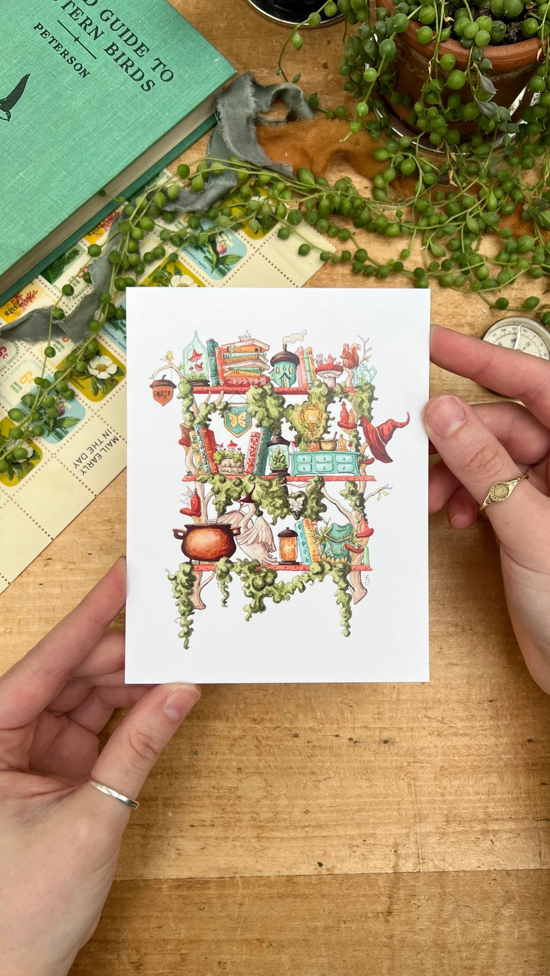The Fairy Witch's Shelves Postcard