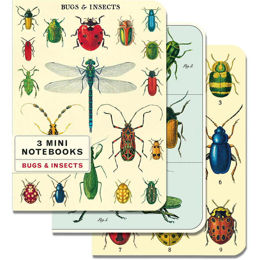 Bugs & Insects Mini Notebook Set