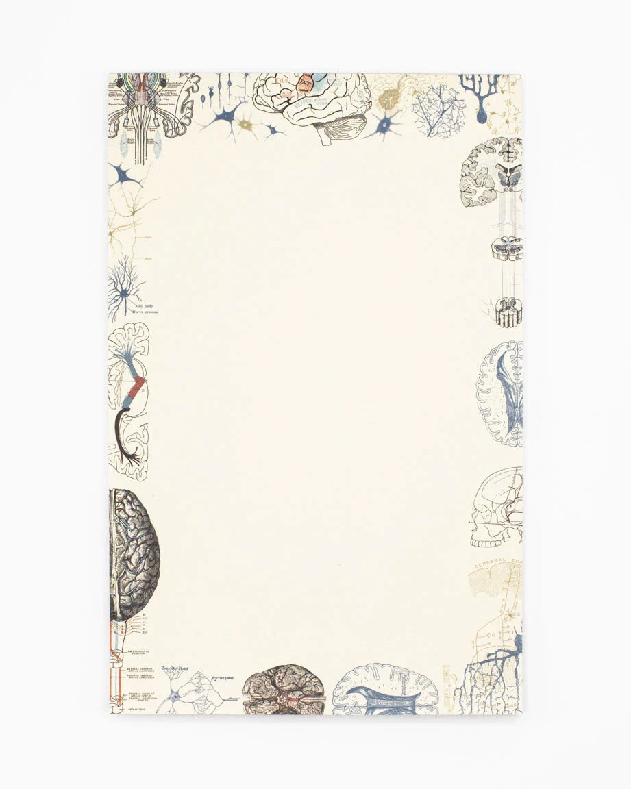 Brain Science Notepad