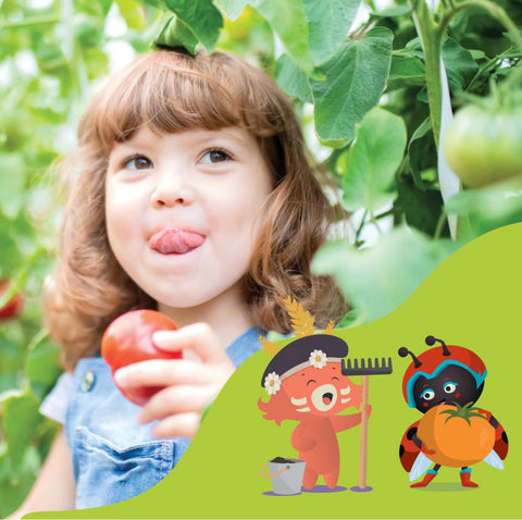 enfant-mange-tomate-potager