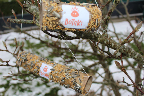 Mangeoires à oiseaux fait maison accrochées dans un arbre