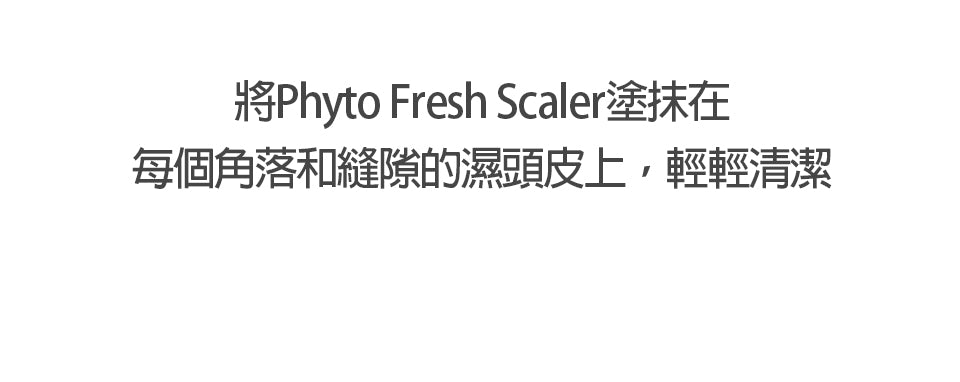 Dr.FORHAIR Phyto Fresh 頭皮深層清潔液 | Chyaaa