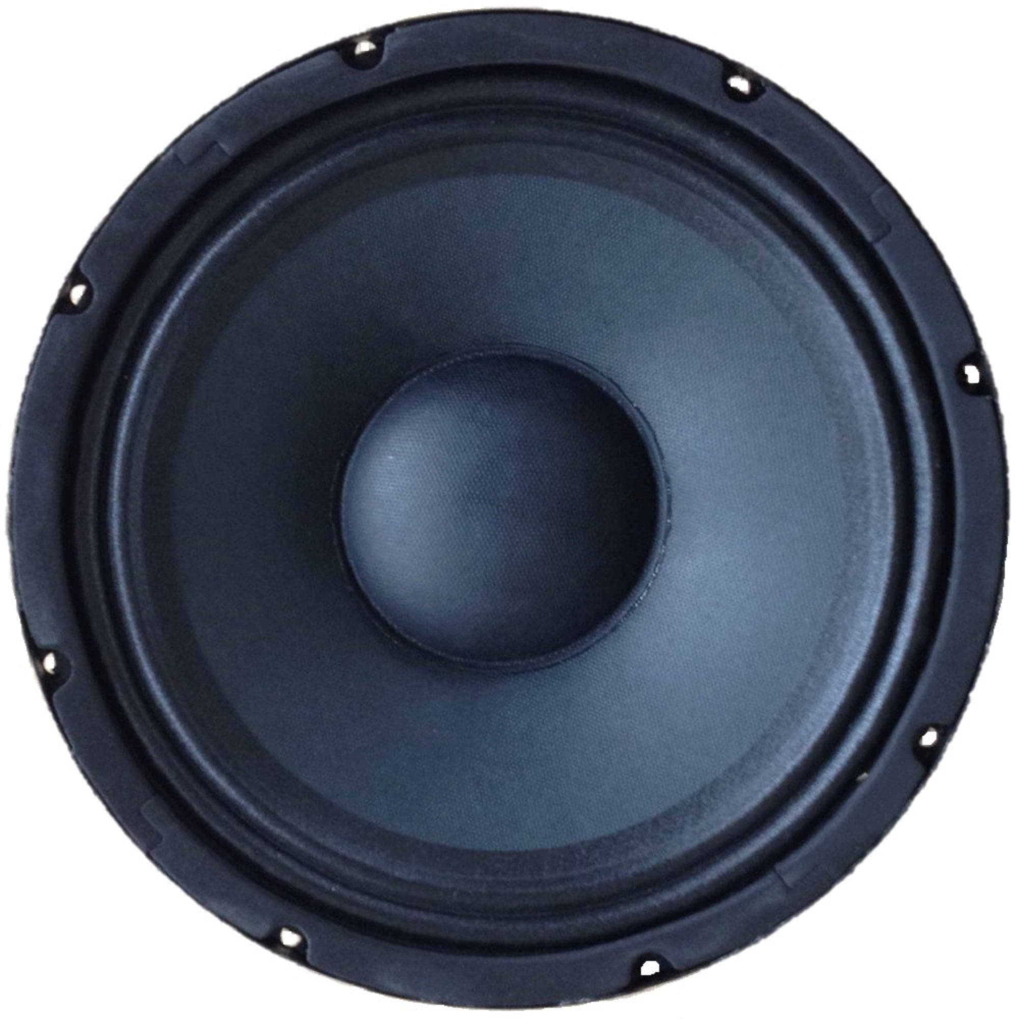 ProSound 10" 8 Ohm 250W RMS Full Range Pressed Steel Speaker Driver