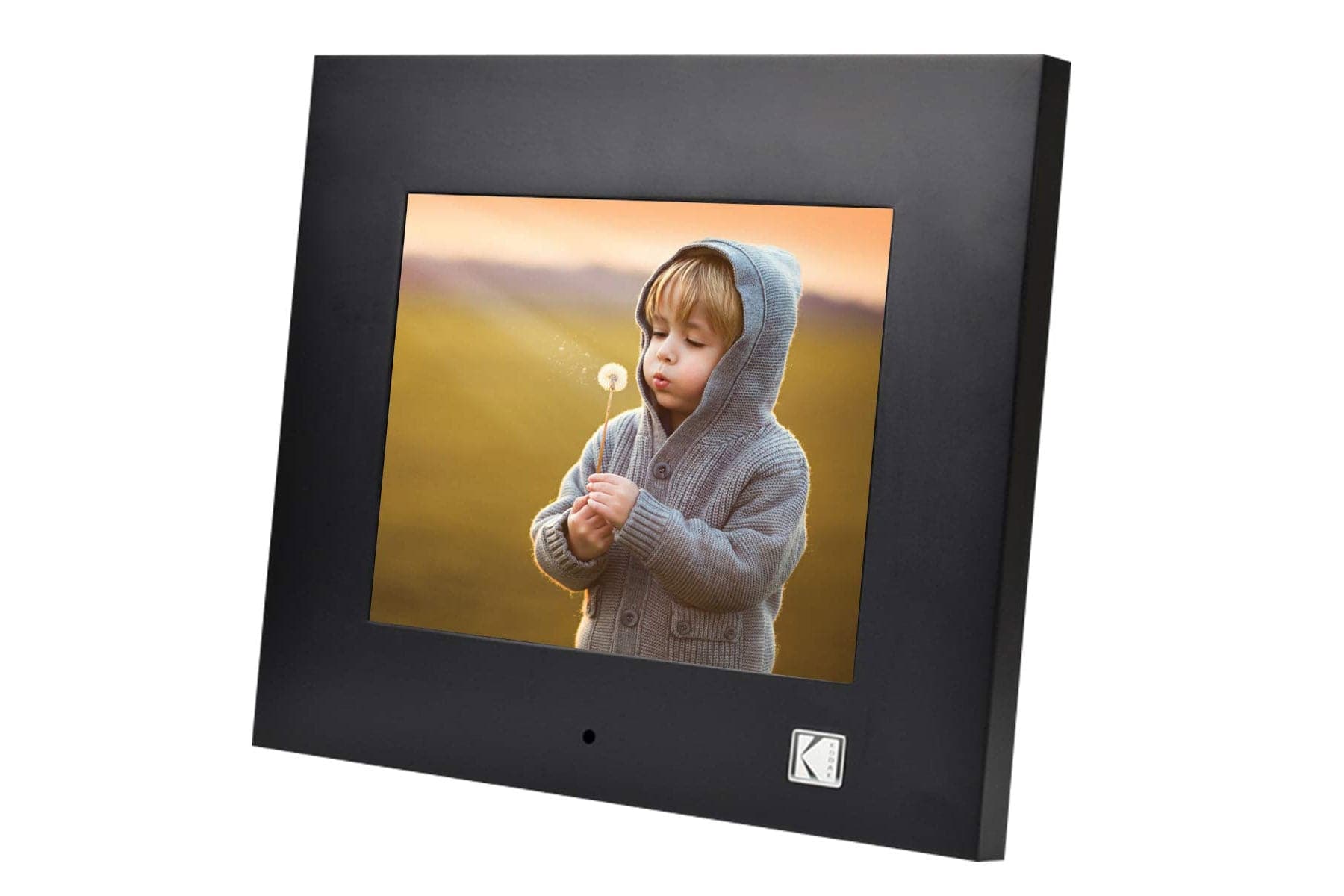 Kodak 1024 x 768 IPS Display 8