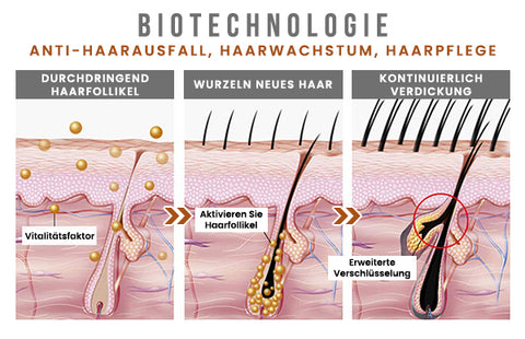 PURA Essenz Haar Wiedergeboren Biotin Shampoo 