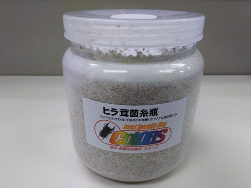 ヒラタケ菌糸 800cc – クワガタムシ・カブトムシ昆虫専門店COLORS