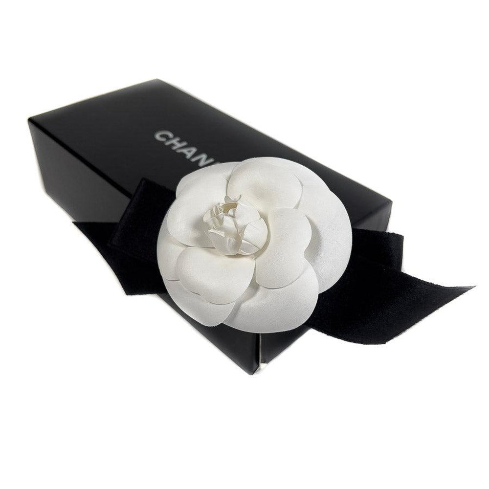 Top 56 về white camellia chanel hay nhất  cdgdbentreeduvn