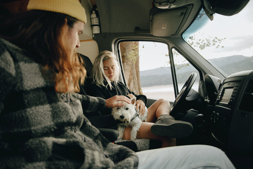 Pet owners' choice for a long journey is pet carriers with wheels