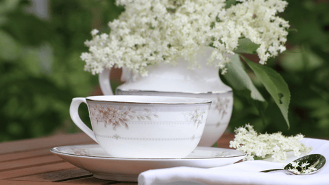 Benefits of Elderflower Tea