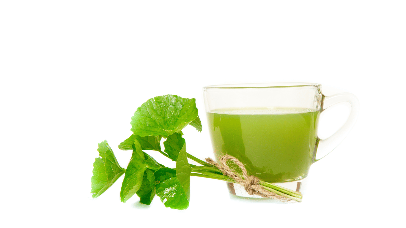 Gotu Kola Tea