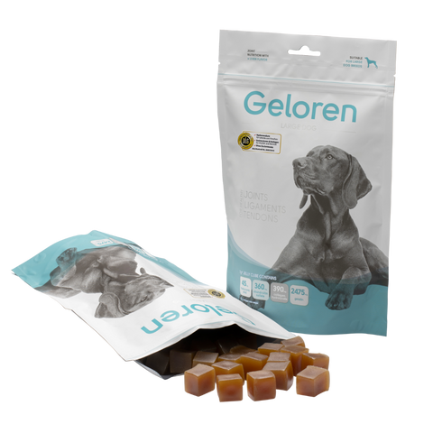 Premium Zusatzfutter für Ihren Hund mit Hyaluronsäure für Gelenkschmerzen | Geloren Hyaluron Shop