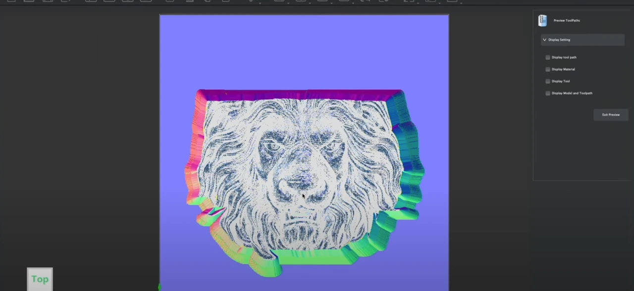 Simulations