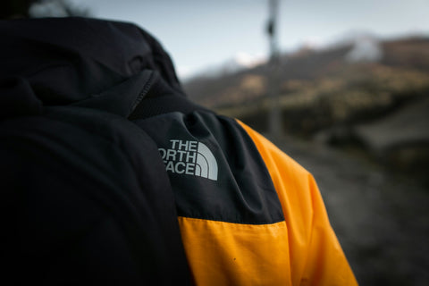 Photo de la marque The North Face l'icône de l'outdoor pour homme