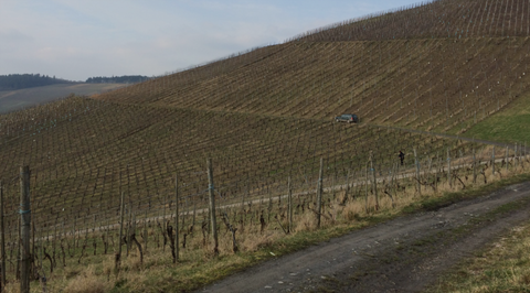 HofgutFalkenstein-Riesling-Saar-WinzerWeber-Kabinett-Spätlese_Auslese