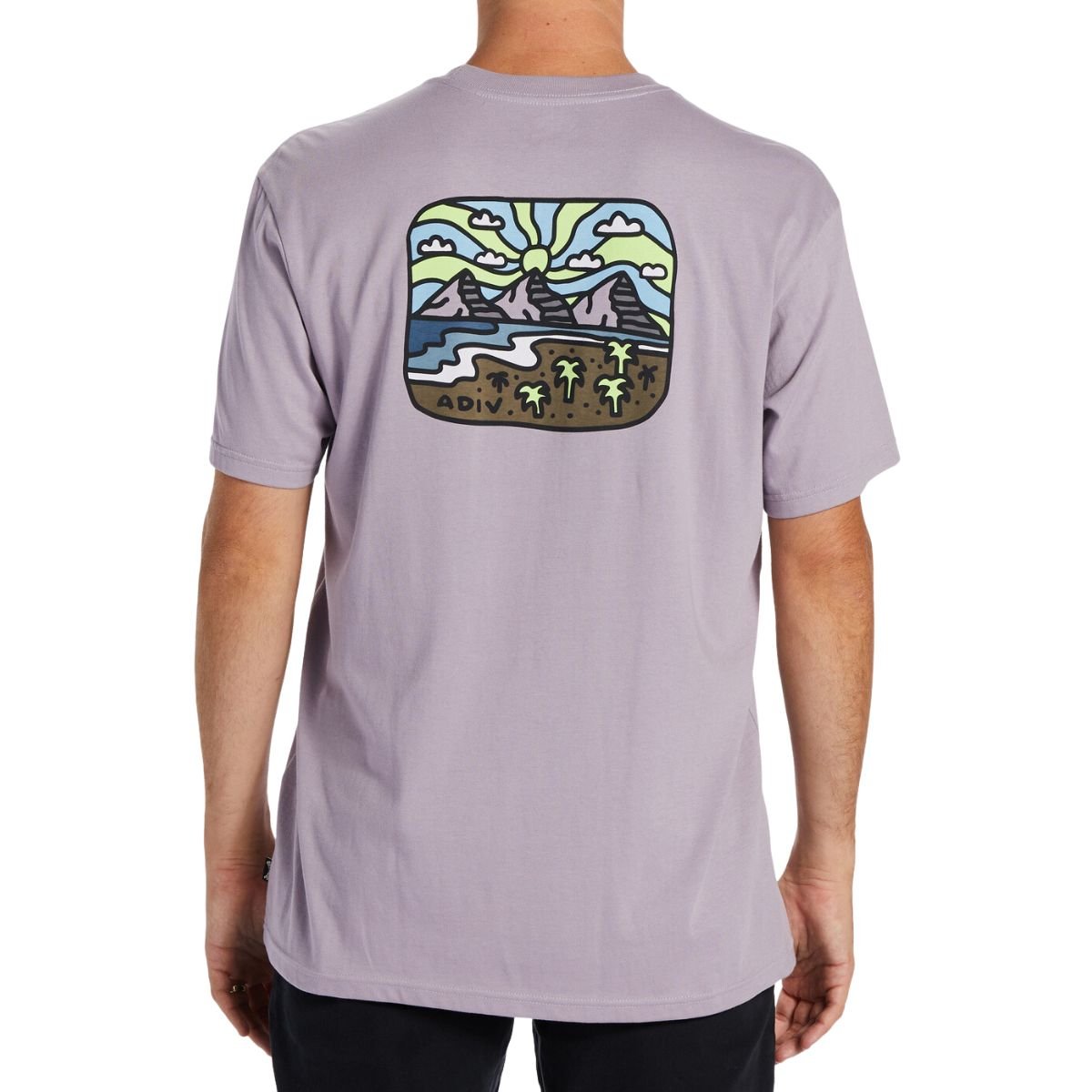 Billabong Rockies T-shirt (light sage)