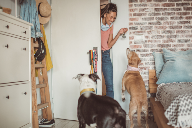 6 Tips to Prepare Your Dog for the Pet Sitter 