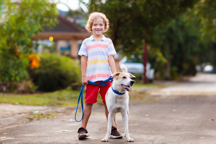 kid walking a dog outdoors on the street