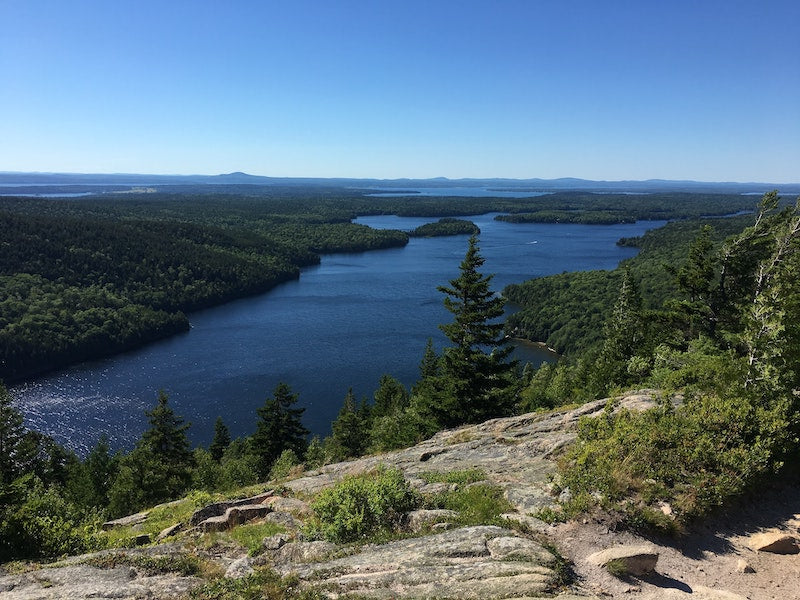 Image of Acadia national park which is a pet friendly park