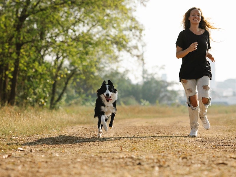 Exercise For a Calm dog