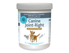 should dogs take joint supplements