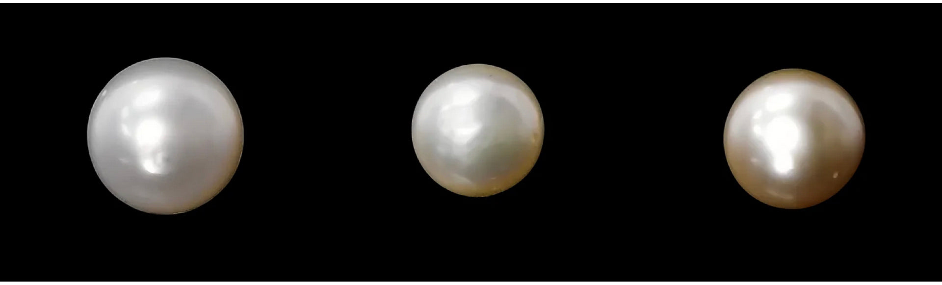 Pearl Origins: Diving Deep Inside the History of Cultured Pearls