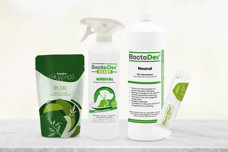 Verschiedene BactoDes-Produkte zum Uringeruch entfernen