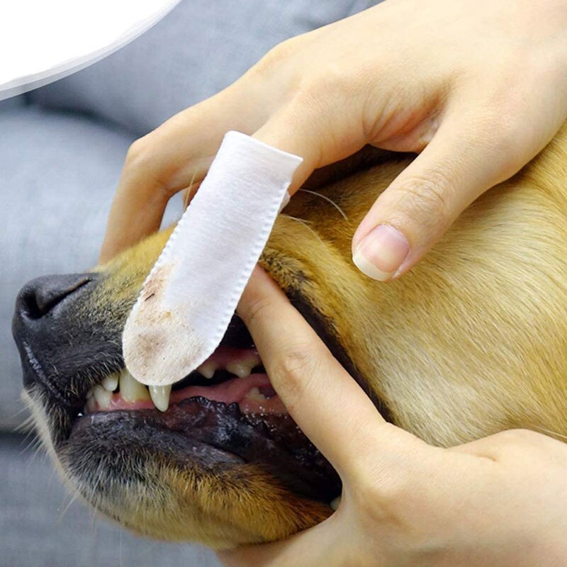 how can i whiten my dogs teeth