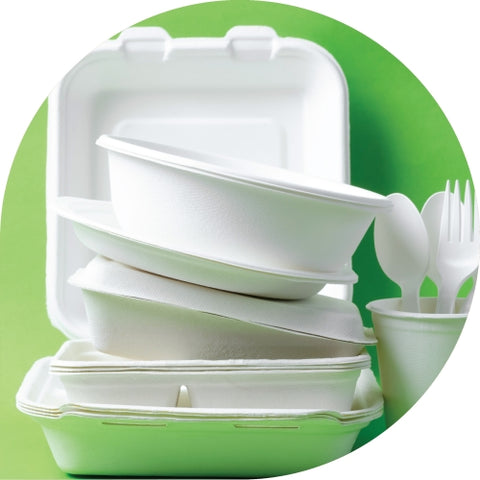 bagasse containers