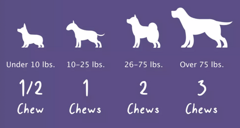 dog size and weight guide