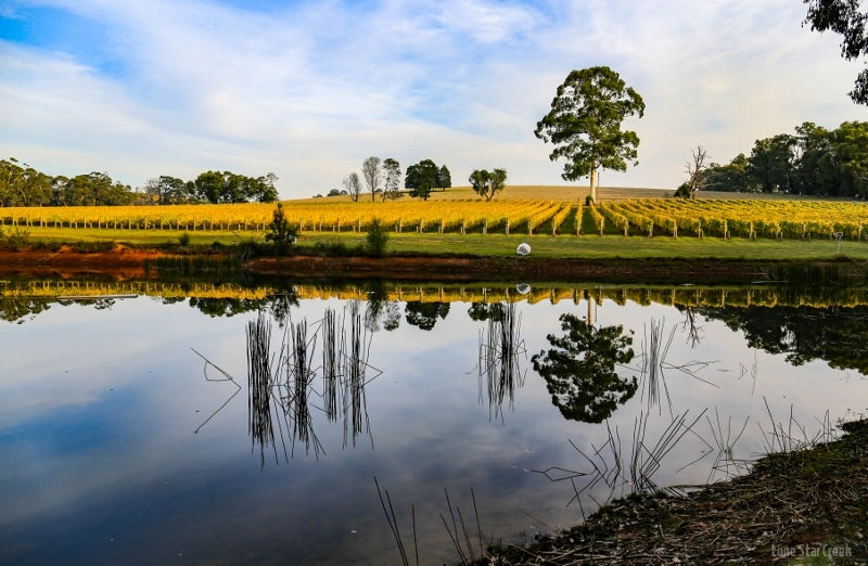 Find out more or buy the Lone Star Creek vineyard wines online at Australia's independent liquor specialists Wine Sellers Direct.