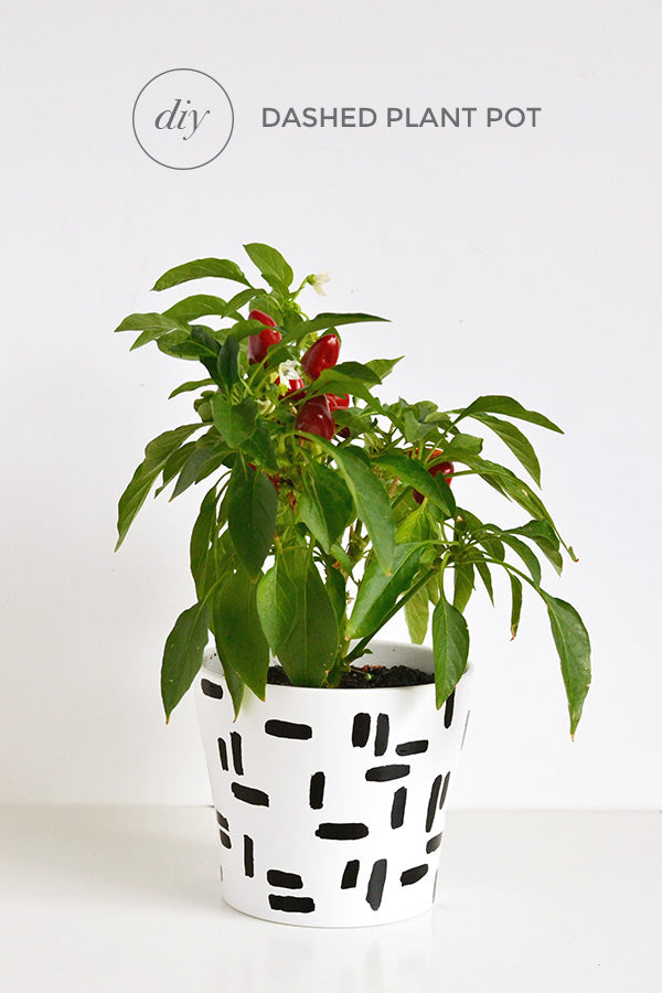 DIY dashed plant pot